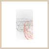 Nesting Basket Set