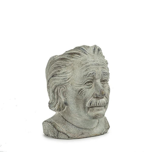 Einstein Head Planter