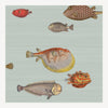 Cole & Son Acquario Wallpaper