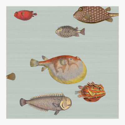 Cole & Son Acquario Wallpaper