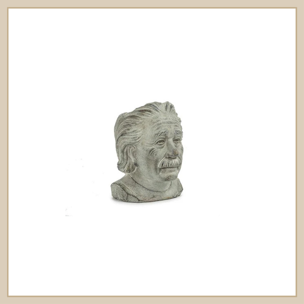 Einstein Head Planter - Envy Paint & Design LTD