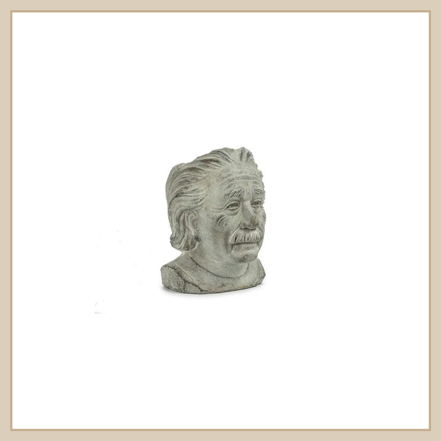 Einstein Head Planter