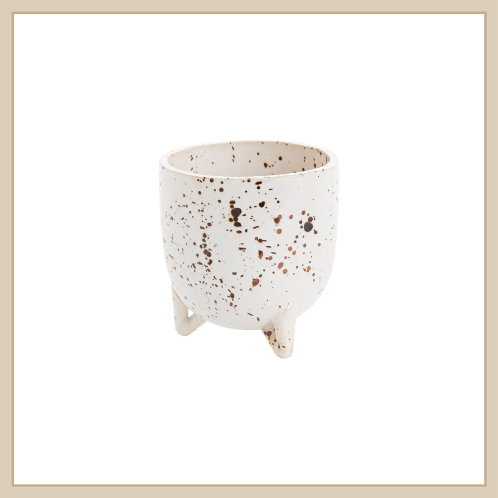 Reid Pot - Envy Paint & Design LTD