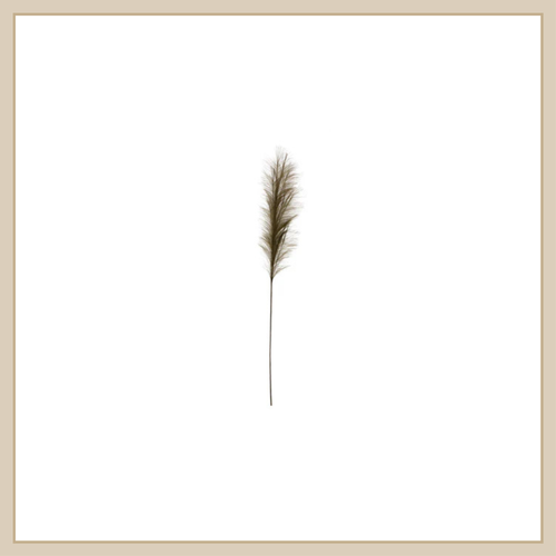 Faux Pampas Grass - Olive