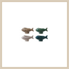 Fish Shaped Container