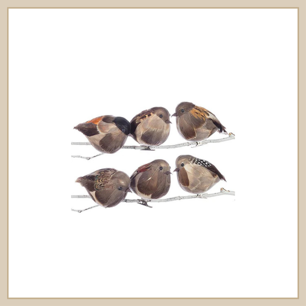 Plump Bird Clip - Envy Paint & Design LTD