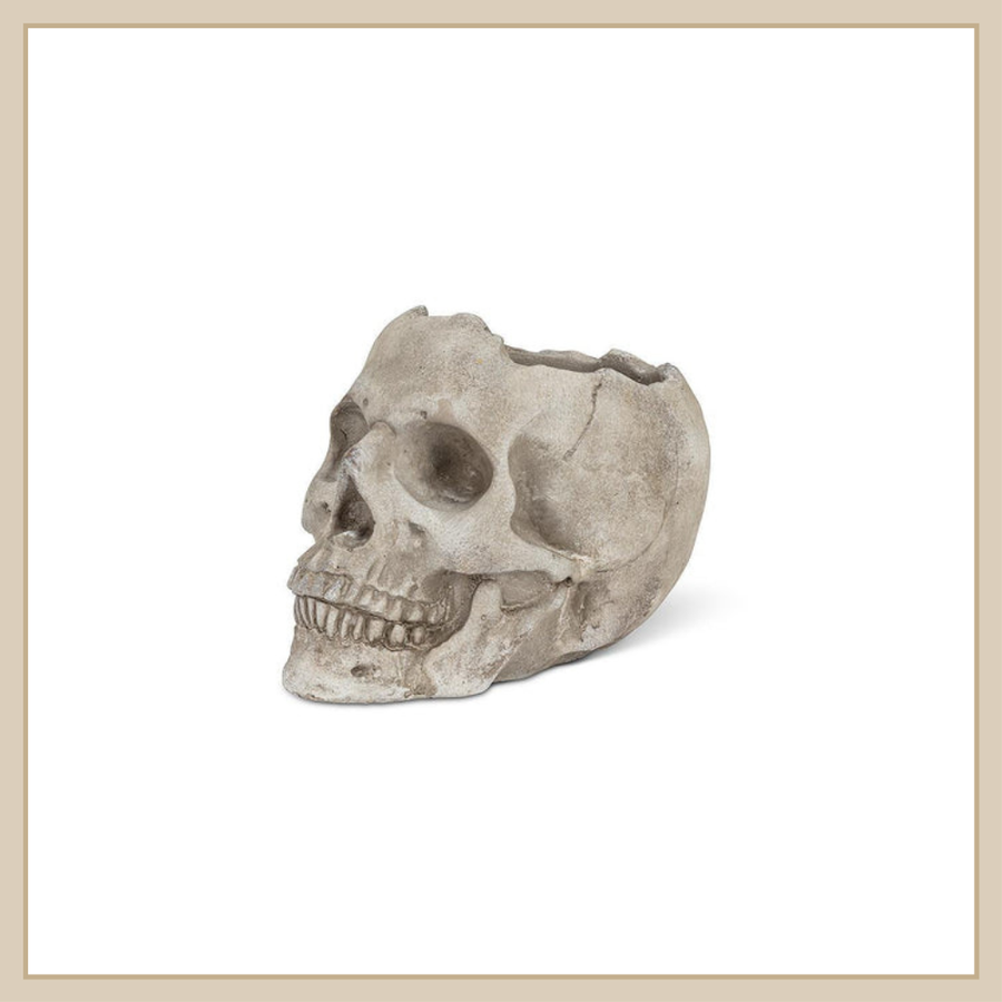 LG Skull Planter