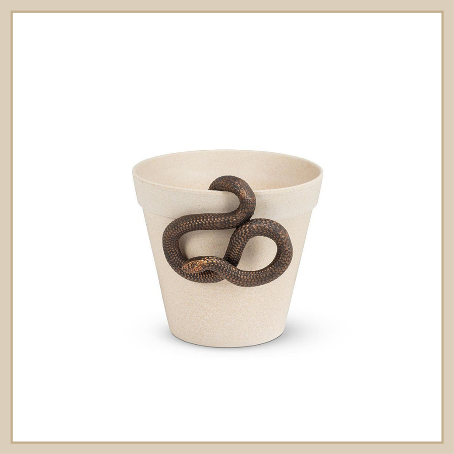 Hanging Snake Planter