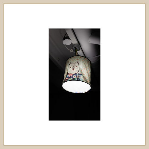 Koala Light
