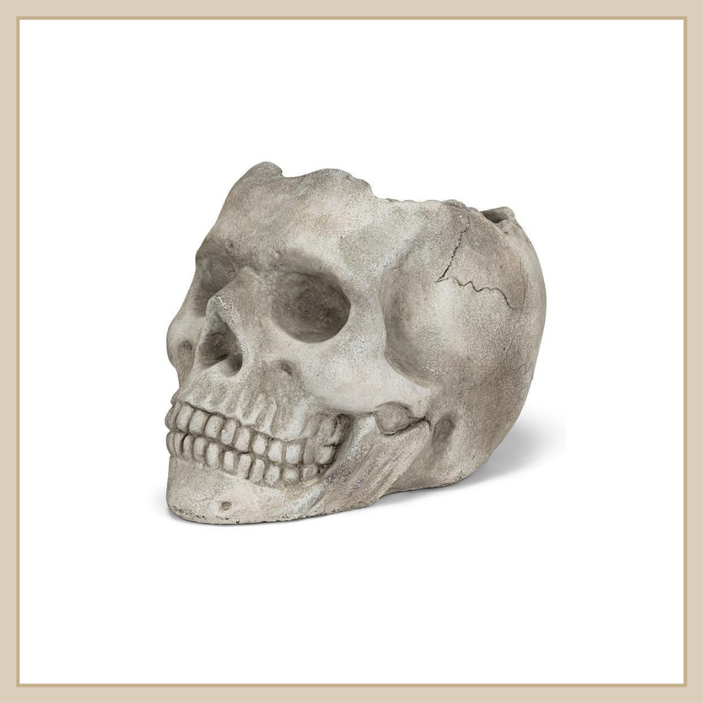 Extra Large Skull Planter