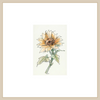 Sunflower II