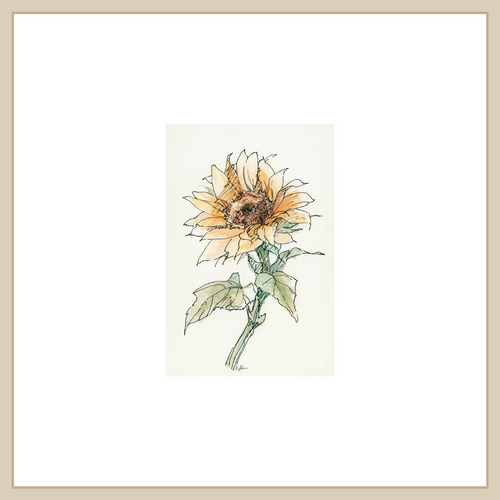 Sunflower II