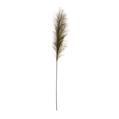 Faux Pampas Grass - Olive