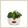Red Lips Planter