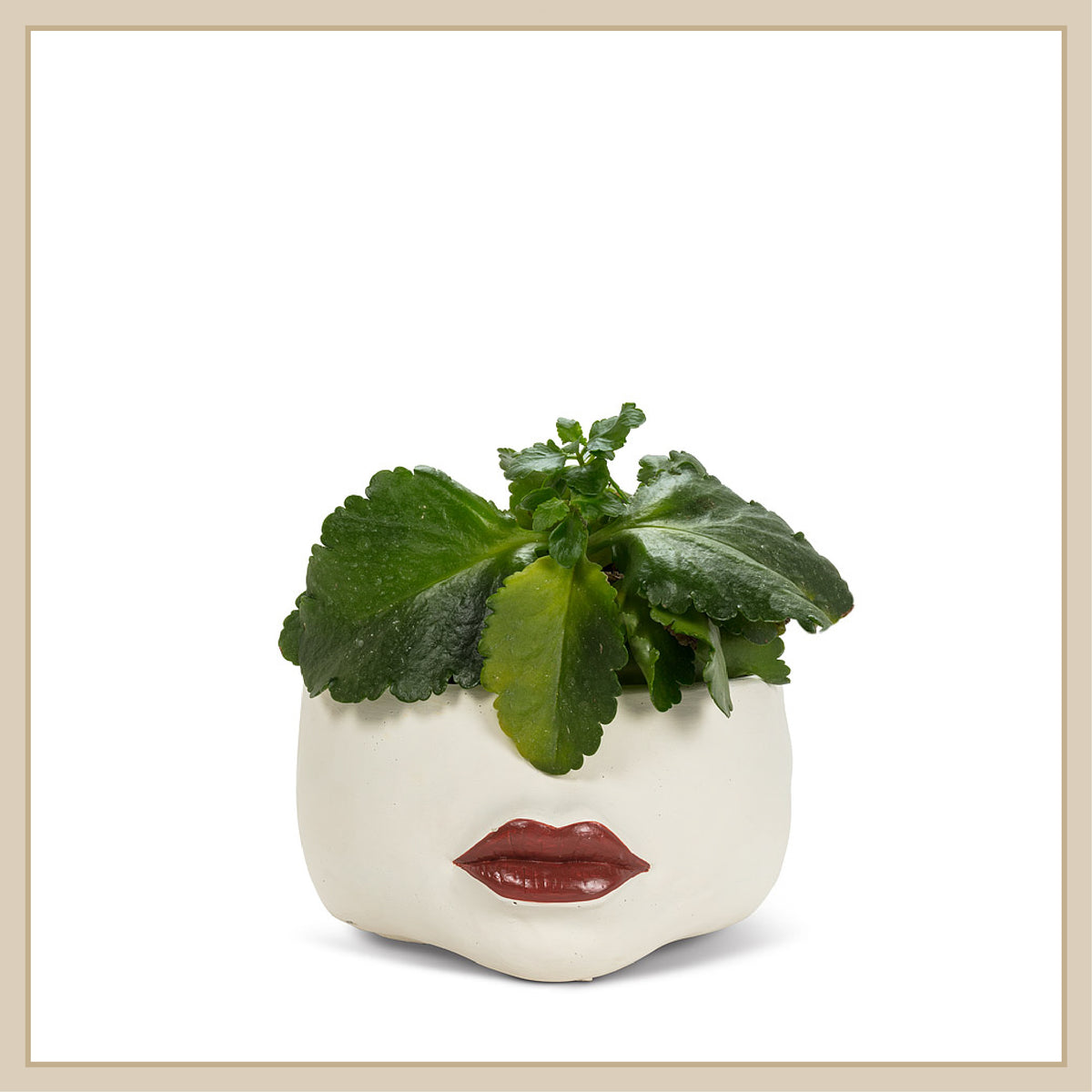 Red Lips Planter