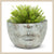 Half Face Planter - Envy Paint and Design