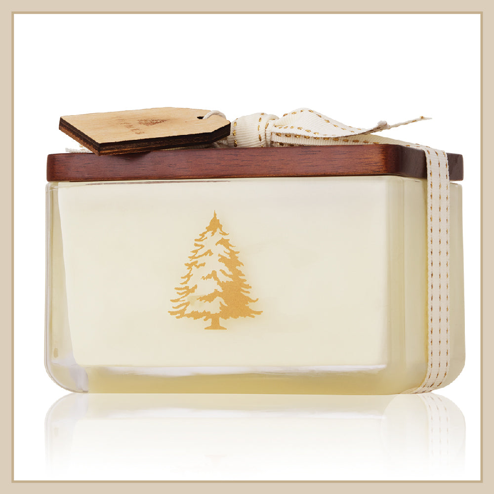 Thymes Frasier Fir Northwoods Poured 2-Wick Glass Candle - Envy Paint and Design